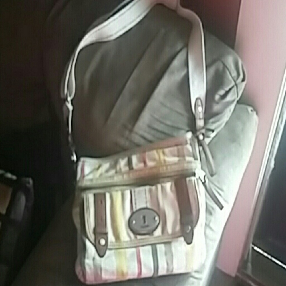 Multi- colored striped fossil purse